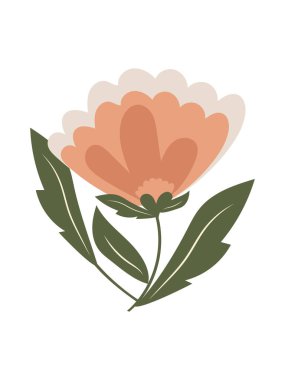 Beyaz arka planda yaprakları olan güzel pembe bir çiçek. Vektör.