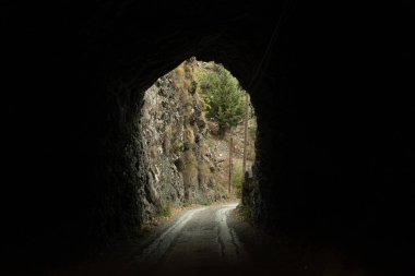 Doğa duvarlı karanlık tünel çıkışı