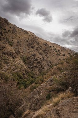 Sonbahar ağaçları, sarı ve yeşilliklerle harmanlanmış dağ manzarası.