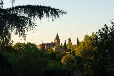 Gün batımında üzerinde kuşlar uçuşan ağaçların arasındaki kalenin görüntüsü.