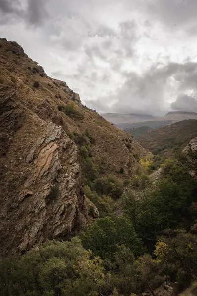Sonbahar ağaçları, sarı ve yeşilliklerle harmanlanmış dağ manzarası.