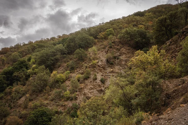 Bulutlu bir sonbahar gününde dağda yürüyen adam.