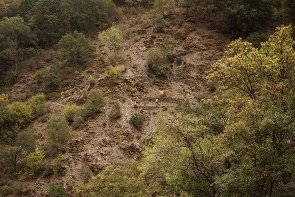 Bulutlu bir sonbahar gününde dağda yürüyen adam.