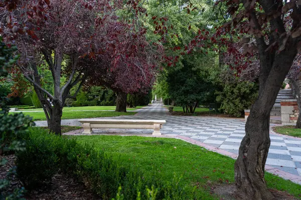 Mor ağacın altında bankla yeşil parkta yürü