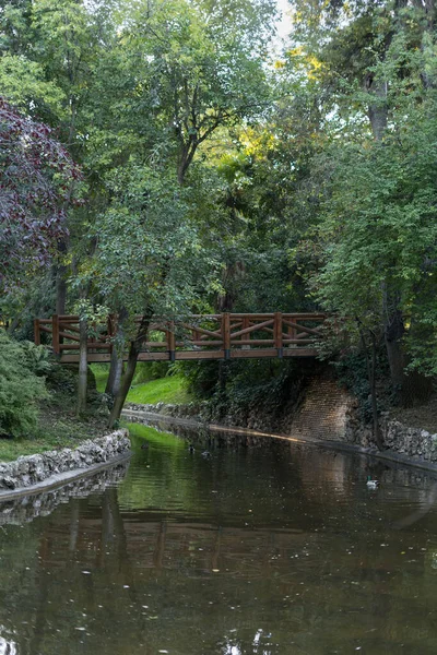 Gün ışığıyla aydınlanan gölden geçen köprü.
