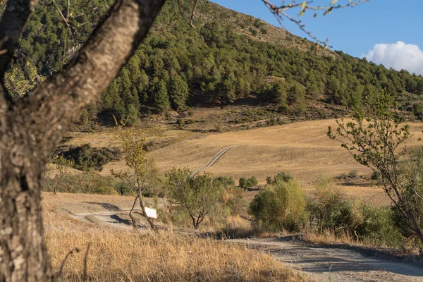 Kurak dağdaki toprak yol