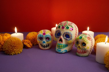 Dia de los muertos - Ölü Kafatası Günü Mumlar ve cempasuchil çiçek sunağı dekorasyonu