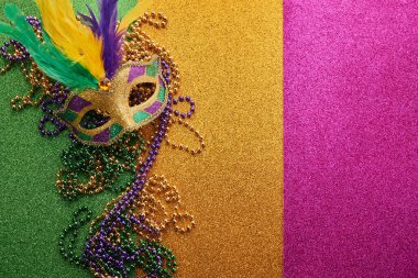 Mardi gras, Venetian or Carnivale mask on on a tricolor shining background. High quality photo