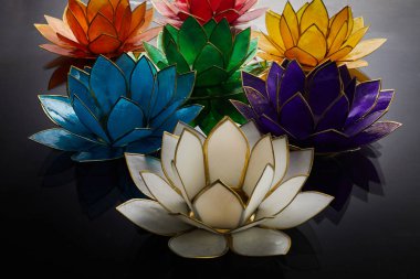 Nilüfer kabuğu fenerleri ışık yansıması ile suyun üzerinde yüzer..