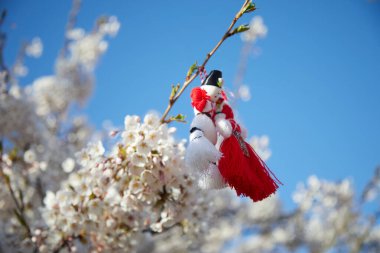 Bulgaristan 'ın geleneksel bahar dekoru çiçek ağacında sergileniyor. Baba Marta tatili