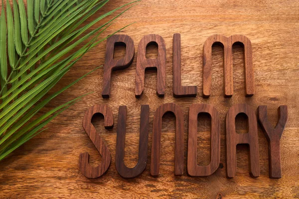 Palm sunday background. Palm on vintage background