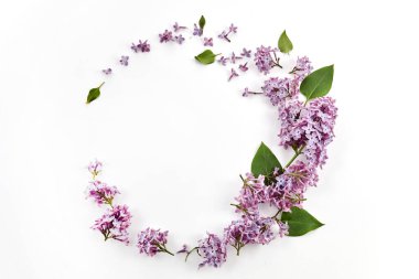 Beyaz arka planda leylak çiçekleri olan çerçeve. Üst manzara, düz uzanma.