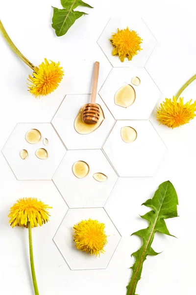 タンポポの黄色の蜂蜜のドロップと白い背景にタンポポの花で固執する — ストック写真