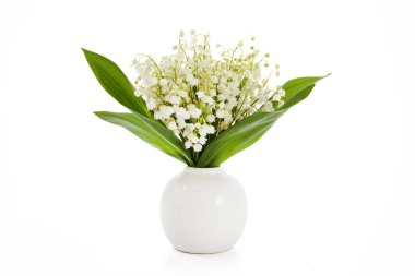 Lilly vadi çiçekleri ve beyaz arka plan üzerinde izole yaprakları.