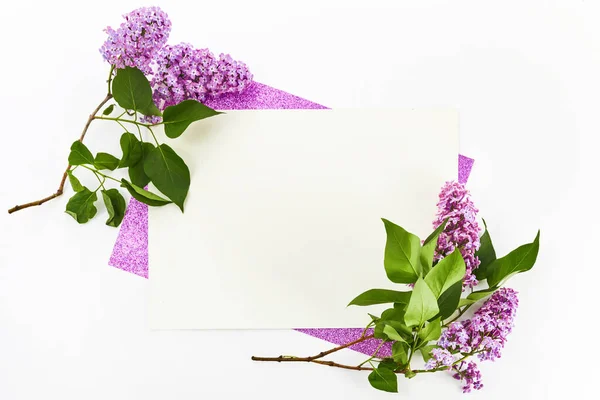 Framework of Lilac flowers on white background. Top view, flat lay