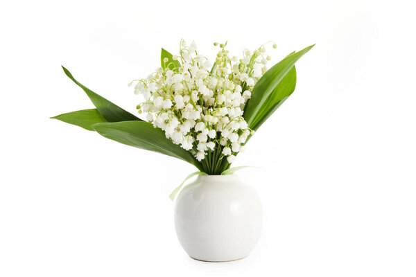 Lilly of the valley flowers and leaves isolated on white background.