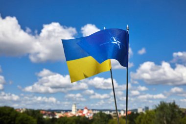 Vilnius 'ta yapılan 2023 Nato zirvesinde NATO ve Ukrayna bayrakları. Vilnius, Litvanya Temmuz 09 2023.