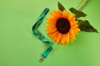 Sunflower lanyard, symbol of people with invisible or hidden disabilities clipart