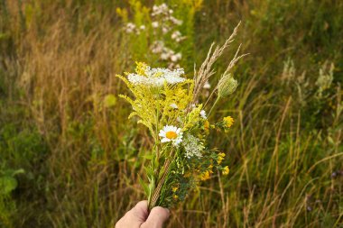 Mary Günü 'nün bitkisel kutsama ve bitki çalısı günü.