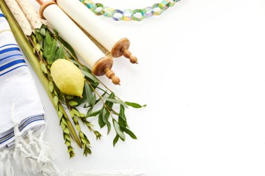 Jewish festival of Sukkot. Traditional symbols. Four species etrog, lulav, willow and myrtle clipart