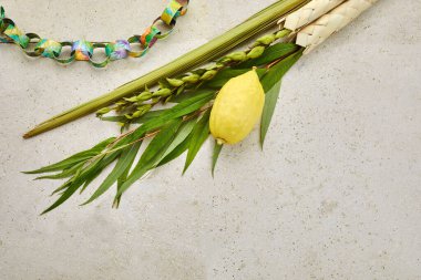 Sukkot Yahudi Festivali. Geleneksel Sukkot sembolleri. Dört tür etrog, lulav, söğüt ve mersin
