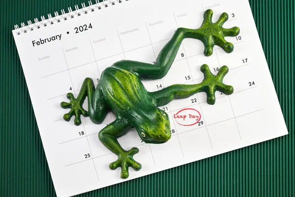 stock image Happy Leap Day on 29 February with Jumping Frog.