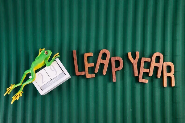 Leap Year Pojęcie Dzień Miesiąc Luty Obrazek Stockowy