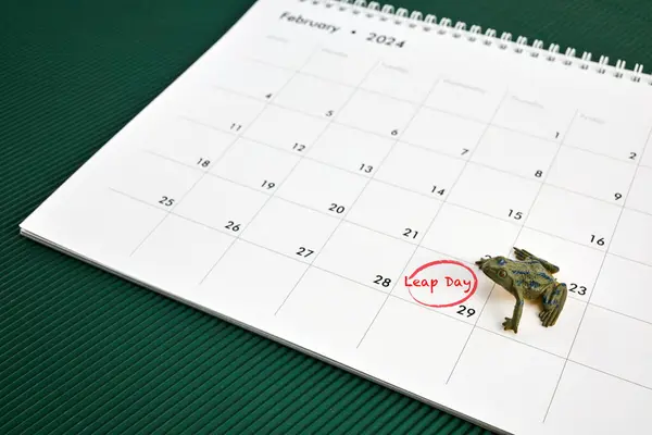 Happy Leap Day Leap Year Calendar Page February Stock Image