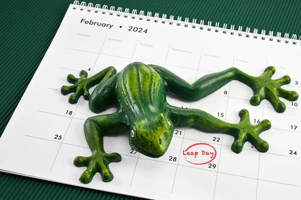 Feliz Día Bisiesto Febrero Con Jumping Frog Imagen De Stock