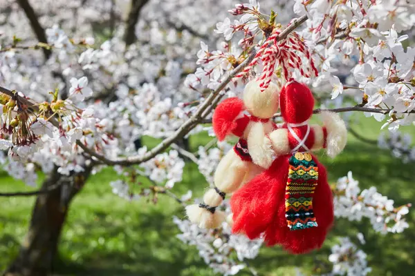 Bulgarian traditional spring decor Martenitsa on the cherry blossom tree. Baba Marta holiday