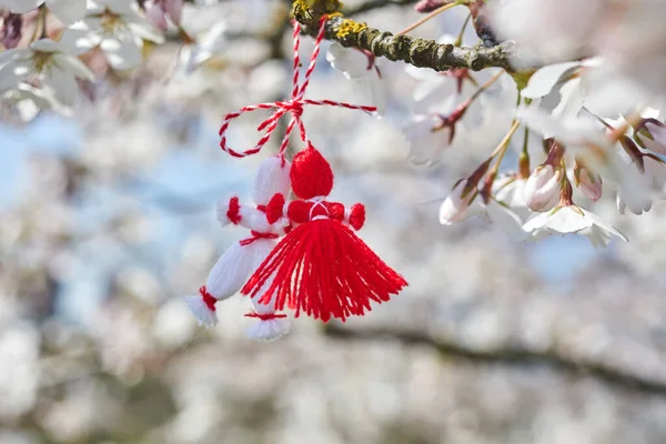 Bulgarische Traditionelle Frühlingsdekoration Martenitsa Auf Dem Kirschblütenbaum Baba Marta Urlaub lizenzfreie Stockbilder