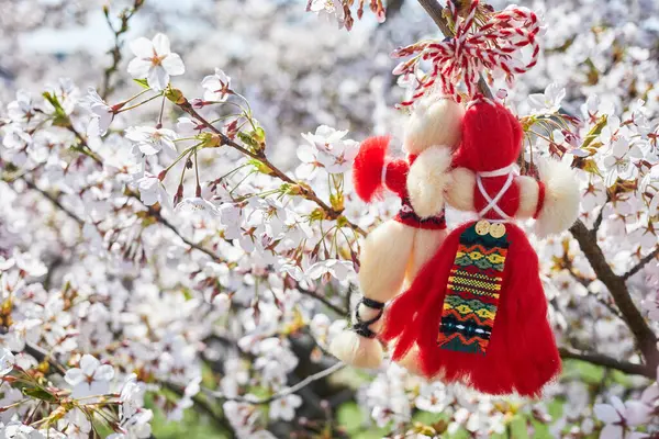 Bulgarische Traditionelle Frühlingsdekoration Martenitsa Auf Dem Kirschblütenbaum Baba Marta Urlaub Stockfoto