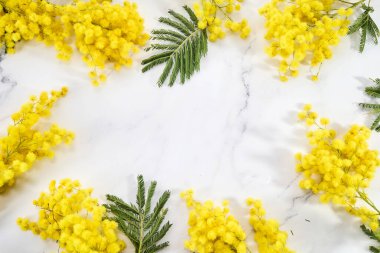 Mermer zemin üzerinde mimoza çiçekleri çerçevesi. Düz yatak, bahar konsepti..