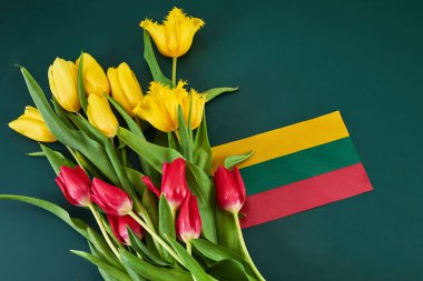 Congratulation for March 11, Lithuania Independence Day. Lithuanian tricolor and bouquets of tulips. clipart