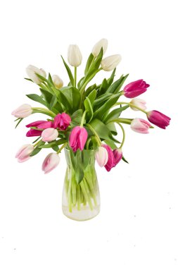 Beyaz arka planda pembe laleler. Anneler Günü, Sevgililer Günü, Doğum günü kutlaması konsepti