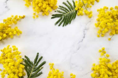 Mermer zemin üzerinde mimoza çiçekleri çerçevesi. Düz yatak, bahar konsepti..