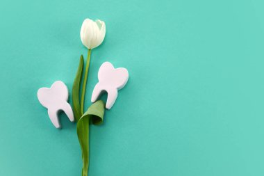 Mutlu Diş Hekimleri Günü konsepti. Dişleri ve su arka planında laleleri olan dişler..