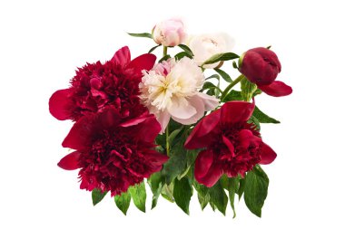 Yemyeşil yapraklı kırmızı ve pembe şakayıklardan oluşan canlı bir düzen..