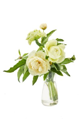 Yeşil yapraklı, çiçek açan şakayıklardan oluşan hassas bir düzen..