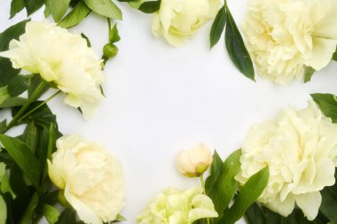 Temiz beyaz arka planda yeşil yapraklı beyaz şakayıklar..