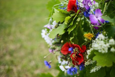 Rengarenk kır çiçeklerinin yakın plan görüntüsü bulanık yeşil arka plan.