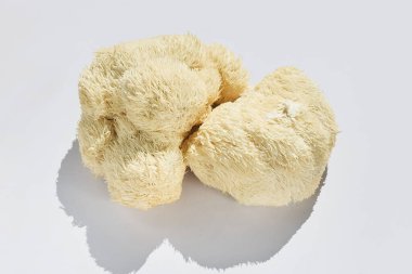 A close-up of a Lions Mane Mushroom with its distinctive shaggy texture, placed on a clean white background. clipart