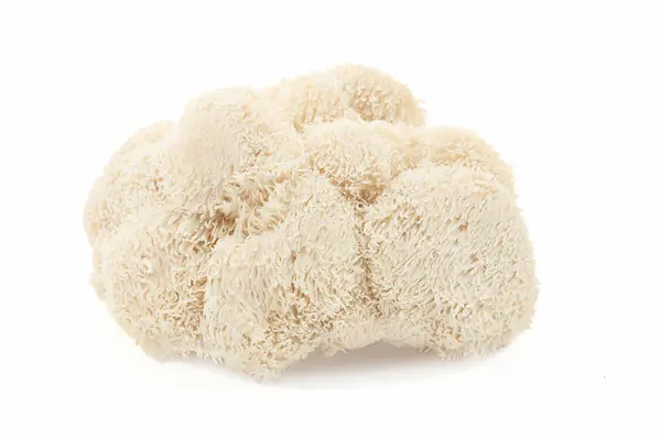 Stock image Close-up of a lions mane mushroom against a white background, highlighting its unique texture.