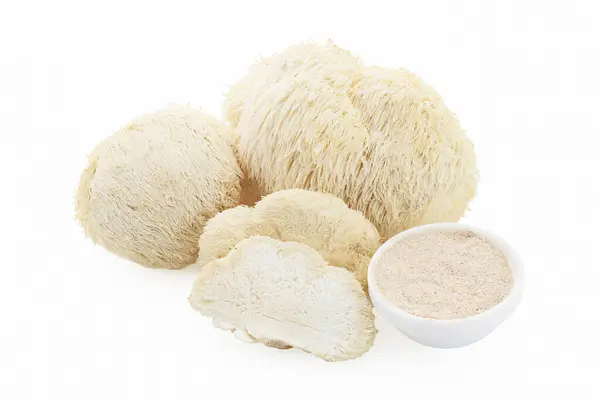 stock image A collection of lions mane mushrooms including whole and sliced pieces, alongside a bowl of mushroom powder, against a white background.