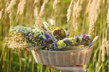 Yaban çiçekleri ve buğdaylarla dolu hasır bir sepet, uzun otların arka planında tutuluyor..