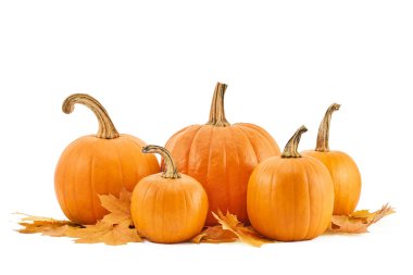 Sonbahar yapraklı beyaz arka planda beş balkabağı.