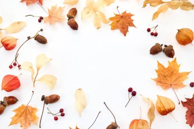 Yapraklar, meşe palamutları ve böğürtlenlerle çevrelenmiş minimalist bir sonbahar kompozisyonu..