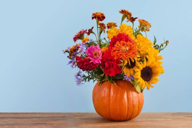 Mavi arkaplana karşı balkabağı vazosunda dizilmiş renkli çiçekler.