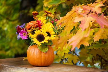 Renkli yapraklara karşı balkabağı vazosunda ayçiçekleri olan canlı bir buket..