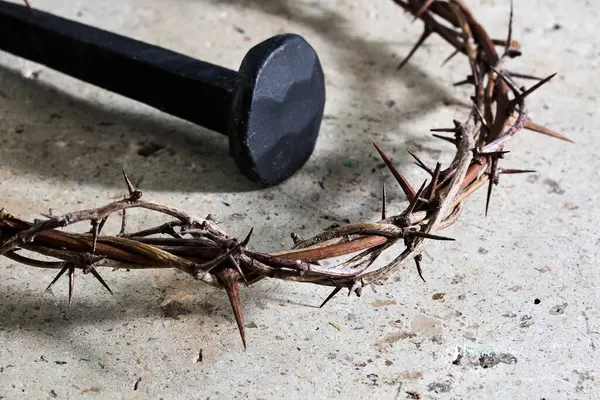 Vitesler renkli beyin sanatı ile harmanlanır, yenilik sergilenir.